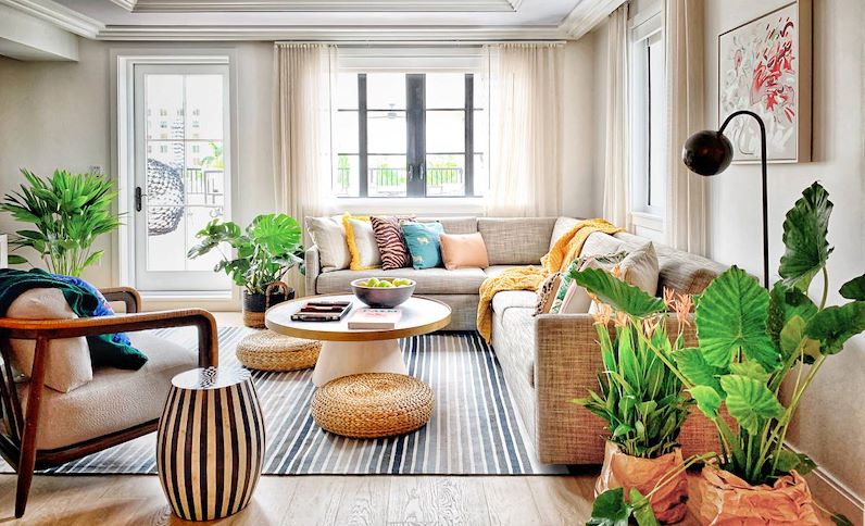 Suite. Living Room 